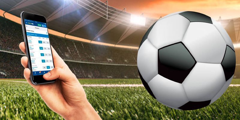 Khám Phá Các Loại Hình Cá Cược Tại ON Sports